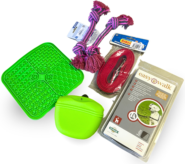 kit de bienvenida curso de Adiestramiento Canino