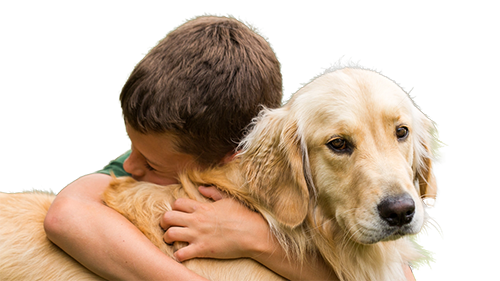 curso Terapia Asistida con Animales