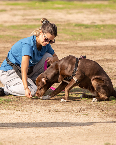 egresado de Formación Activa